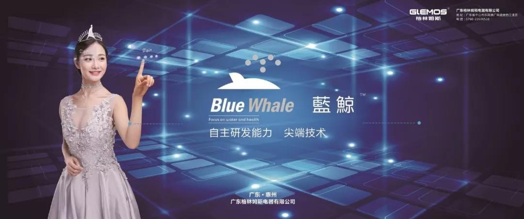 BlueWhale蓝鲸品牌创建于1992年是即热式热水器十大品牌_即热式热水器批发厂家