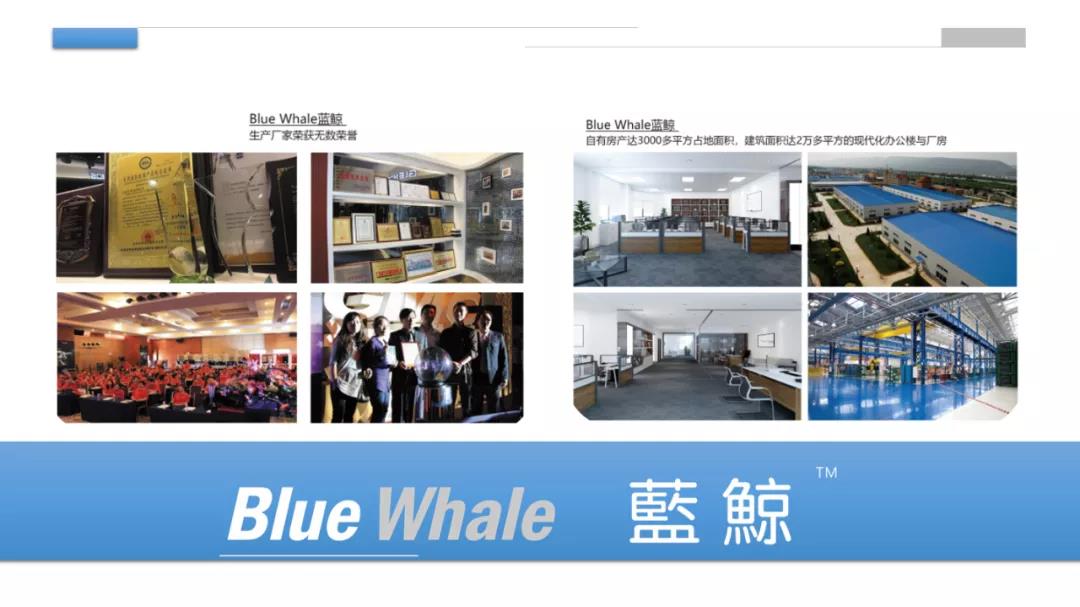Blue Whale 蓝鲸速热式电热水器-速热式热水器品牌-即热式热水器品牌